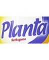 PLANTA