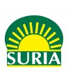 Suria